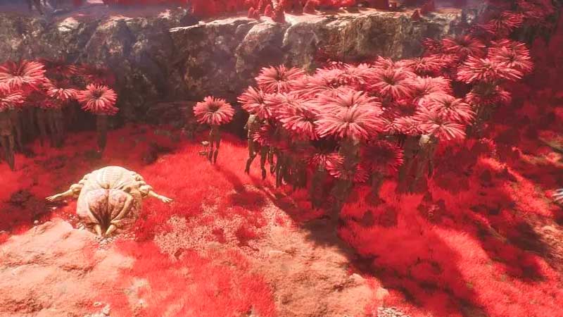 top games italia guida expedition