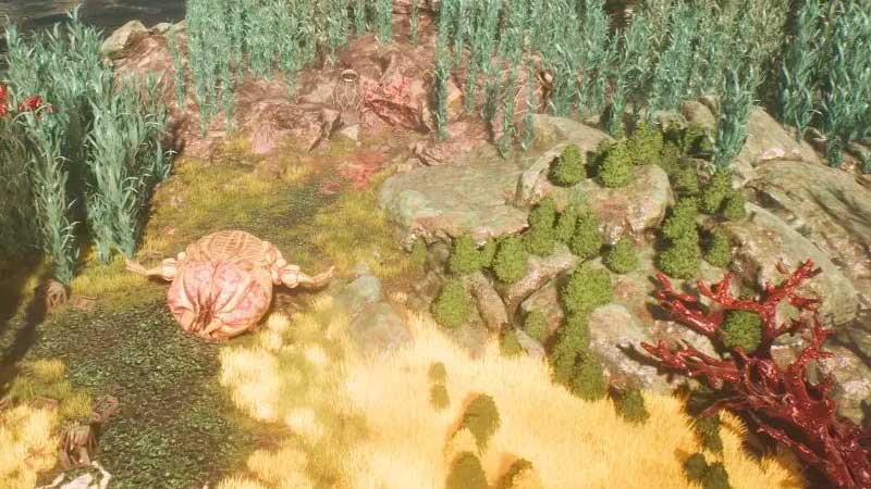 come trovare tutti i gestal perduti in expedition 33 guida top games