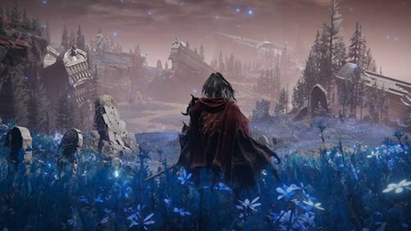 mappa e mondo di gioco elden ring shadow of the erdtree