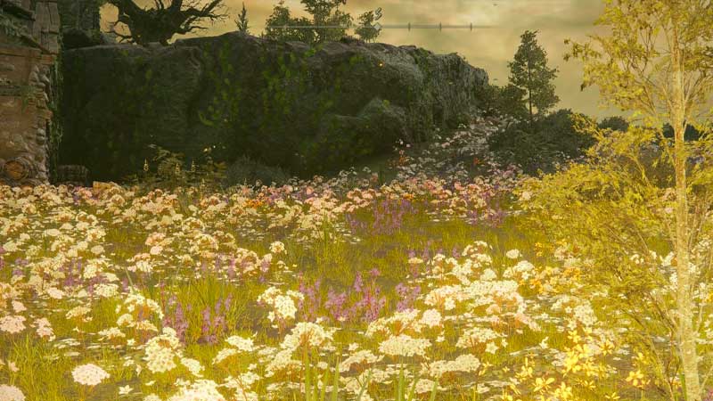 come trovare il giardino segreto di marika elden ring