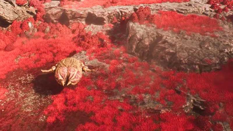 soluzione quest gestal