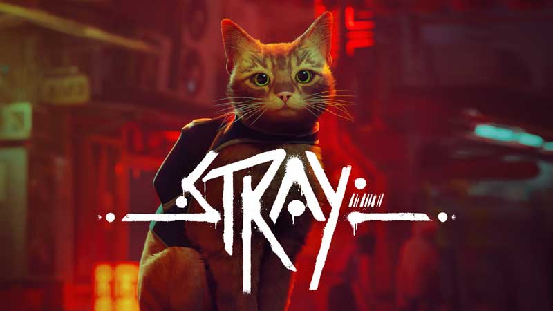 stray ps plus novembre 2025 essential