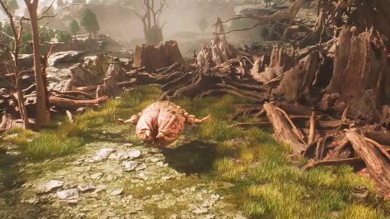 soluzione expedition 33