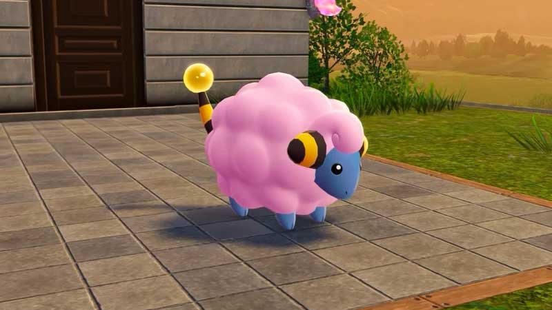 shiny mareep come ottenerlo