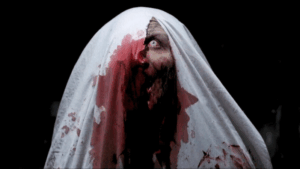 The Conjuring Lili Taylor