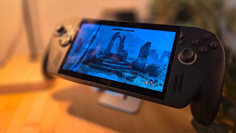 follia tra i componenti della handheld xbox