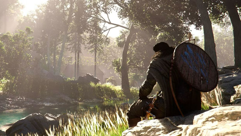 la gestione del campo in game