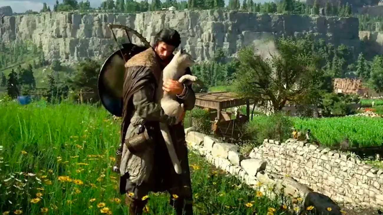 altri 30 animali in pywel