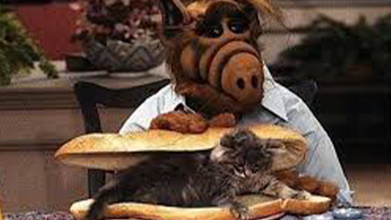 lucky-il-gatto-di-alf