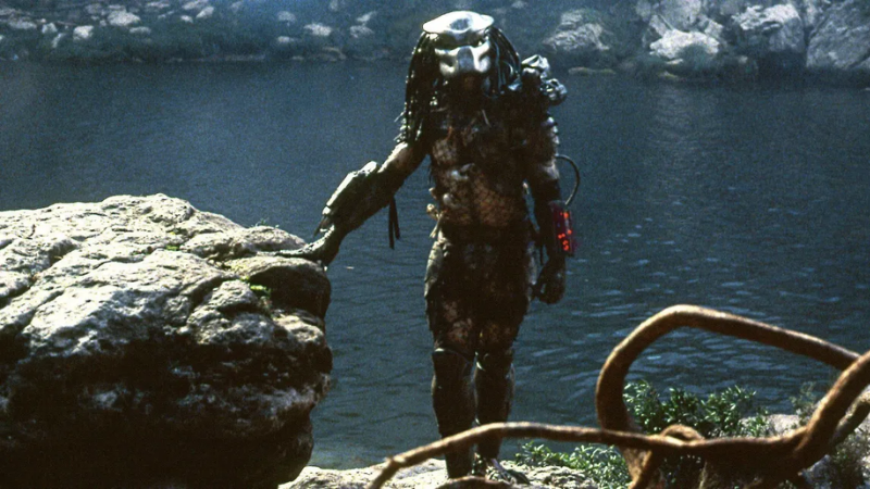 Predator