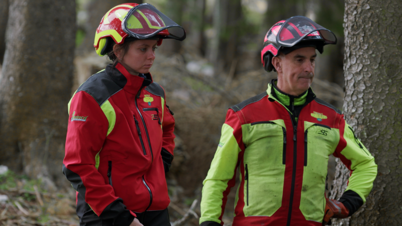Forest: istruttori e stage