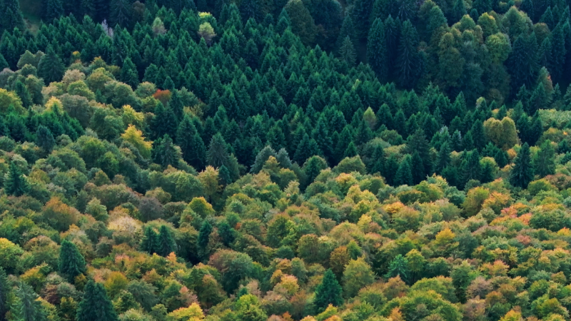 biodiversità