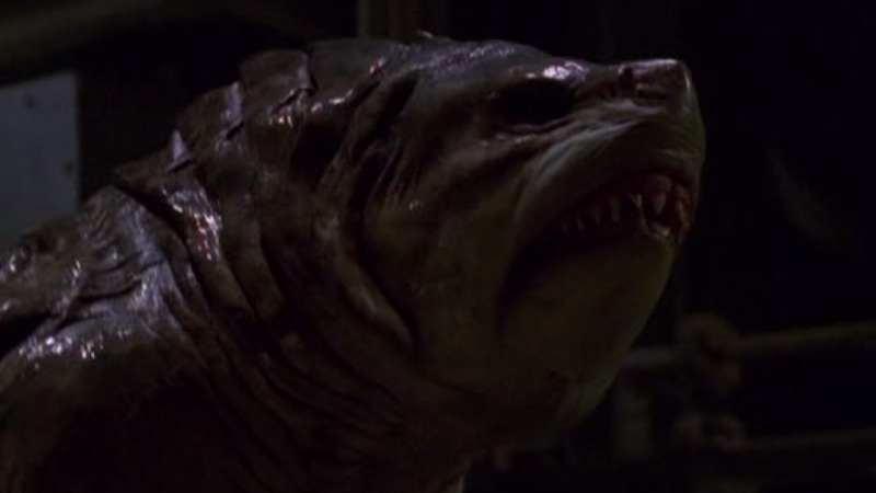 Creature dell’Abisso: Horror Marino e le Maledizioni dei Marinai Creature dell'Abisso