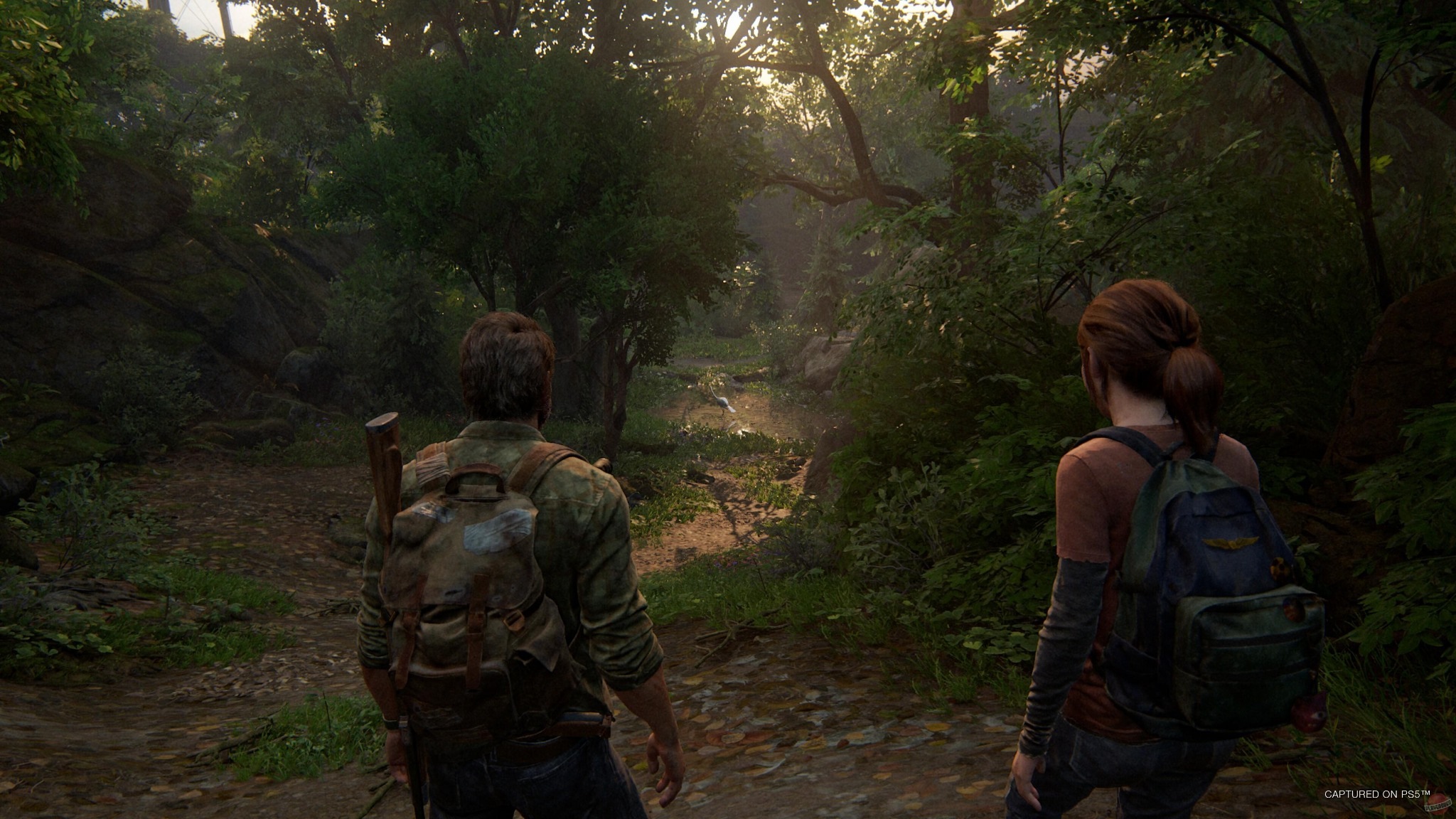 Joel ed Ellie attraversano un sentiero nella natura in The Last of Us Parte I